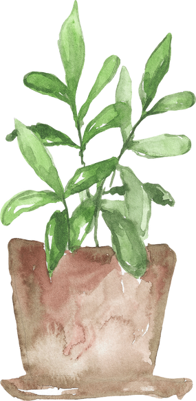 Watercolor Pothos Plant Pot